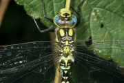garten_1108-063-3