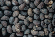 2018-11-27-23_43_46-ZS-PMax.jpg