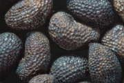 2018-11-28-14_22_05-ZS-PMax.jpg